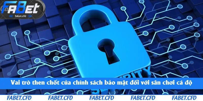 Vai trò then chốt của chính sách bảo mật đối với sân chơi cá độ