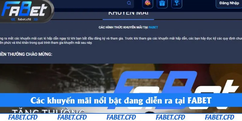 Khám phá các gói ưu đãi siêu hấp dẫn đang được áp dụng trong năm 2025