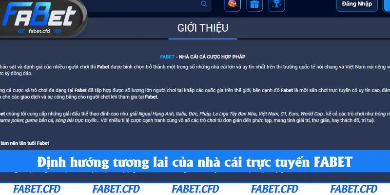 Các định hướng trong tương lai gần